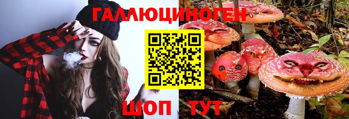 Галлюциногенные грибы Cubensis Псков